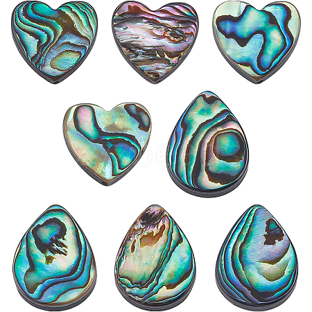 BENECREAT 8Pcs 2 Style Abalone Shell/Paua Shell Beads SHEL-BC0001-013-1