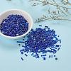 Glass Seed Beads X-SEED-S059-005-6