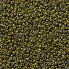 MIYUKI Round Rocailles Beads SEED-G010-RR4519-3