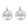 304 Stainless Steel Pendants STAS-T046-JA350-1A-P-3
