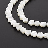 Natural Trochid Shell/Trochus Shell Beads Strands SSHEL-T014-43A-01-4