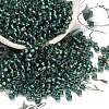 TOHO 6/0 Round Beads SEED-XTR06-0270-1