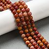 Dyed Natural Malaysia Jade Beads Strands G-G021-02A-19-5