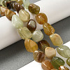 Natural Xiuyan Jade Beads Strands G-B078-D19-04-2