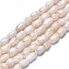 Natural Cultured Freshwater Pearl Beads Strands PEAR-N012-03C-3
