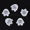 Transparent Acrylic Bead Caps FACR-N005-002-2