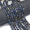 Natural Sodalite Beads Strands G-K389-B31-01-2