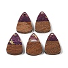 Resin & Wood Pendants WOOD-S061-02I-1