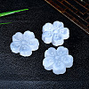 Natural Gesso Blossom Display Decorations PW-WG5C9D5-01-2