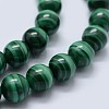 Natural Malachite Beads Strands G-F571-27AA1-8mm-3