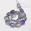 Half Rainbow Plated Faceted Polygon Glass Bead Strands EGLA-J087-07-2