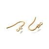 304 Stainless Steel Earring Hooks STAS-D310-01G-03-2