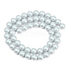 Frosted Glass Pearl Beads Strands GLAA-A044-08A-06-2