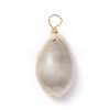 Natural Cowrie Shell Dyed Pendants PALLOY-JF01206-2