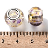 Transparent Two-Color Brass Cores Acrylic European Beads OACR-M024-05S-08-3