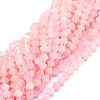 Natural Rose Quartz Beads Strands G-E569-D03-1