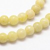 Natural Chrysocolla Beads Strands G-N0198-01-2mm-3