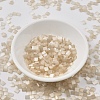 MIYUKI TILA Beads SEED-MY05-TL2593-3