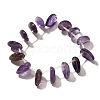 Natural Amethyst Beads Strands G-P561-A02-01-2