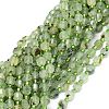 Natural Prehnite Beads Strands G-O201B-19-1