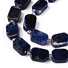 Natural Sodalite Beads Strands G-T138-09-3