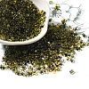 Transparent Baking Paint Glass Seed Beads SEED-A033-06A-06-1