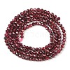Natural Garnet Beads Strands X-G-F619-17A-2mm-5