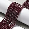 Natural Garnet Beads Strands G-P555-A01-01-2