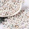 Baking Paint Glass Seed Beads SEED-F005-01A-04-1