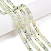 Natural Prehnite Beads Strands G-N342-124-4