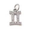 Brass Micro Pave Cubic Zirconia Charms KK-E077-02P-11-1