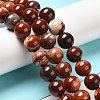 Natural Red Snakeskin Jasper Beads Strands G-H298-A02-05-2