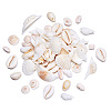 Beadthoven DIY Natural Shell Jewelry Making Finding Kits DIY-BT0001-37-2