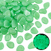 1 Set Resin Luminous Glow in the Dark Pebbles Stone DJEW-CN0001-40D-1