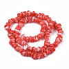 Natural Freshwater Shell Beads Strands SHEL-N003-23-B04-2