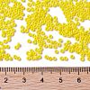 MIYUKI Round Rocailles Beads SEED-G007-RR0404-4
