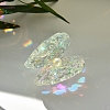 Glass Display Decorations PW-WG77682-01-3