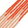 2 Colors Transparent Glass Beads Strands GLAA-G093-01F-1