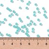 MIYUKI Round Rocailles Beads SEED-JP0009-RR0571-4