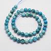 Natural Apatite Beads Strands G-D856-01-10mm-2