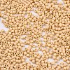 11/0 Grade A Glass Seed Beads X-SEED-S030-1017-2