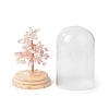 Natural Rose Quartz Chips Money Tree in Dome Glass Bell Jars with Wood Base Display Decorations DJEW-B007-04B-3