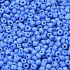 Glass Seed Beads SEED-A010-3mm-43B-3
