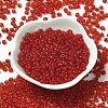 Transparent Colours Glass Seed Beads SEED-P006-02A-06-2