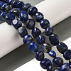 Natural Lapis Lazuli Beads Strands G-B078-D09-02-2