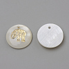 Freshwater Shell Pendants X-SHEL-Q010-012G-2