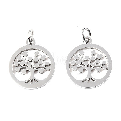 304 Stainless Steel Pendants STAS-T046-JA350-1A-P-1