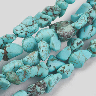 Natural Magnesite Beads Strands TURQ-G101-03-1