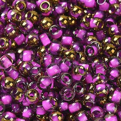 Glass Seed Beads X1-SEED-H002-B-D207-1