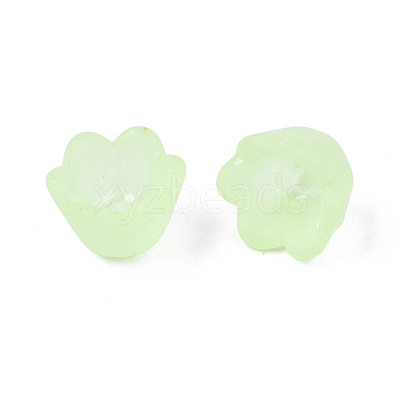 Transparent Acrylic Beads FACR-N005-001-1